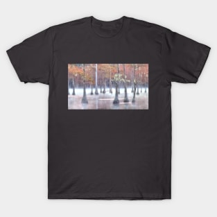 Cypress swamp in Foggy morning T-Shirt